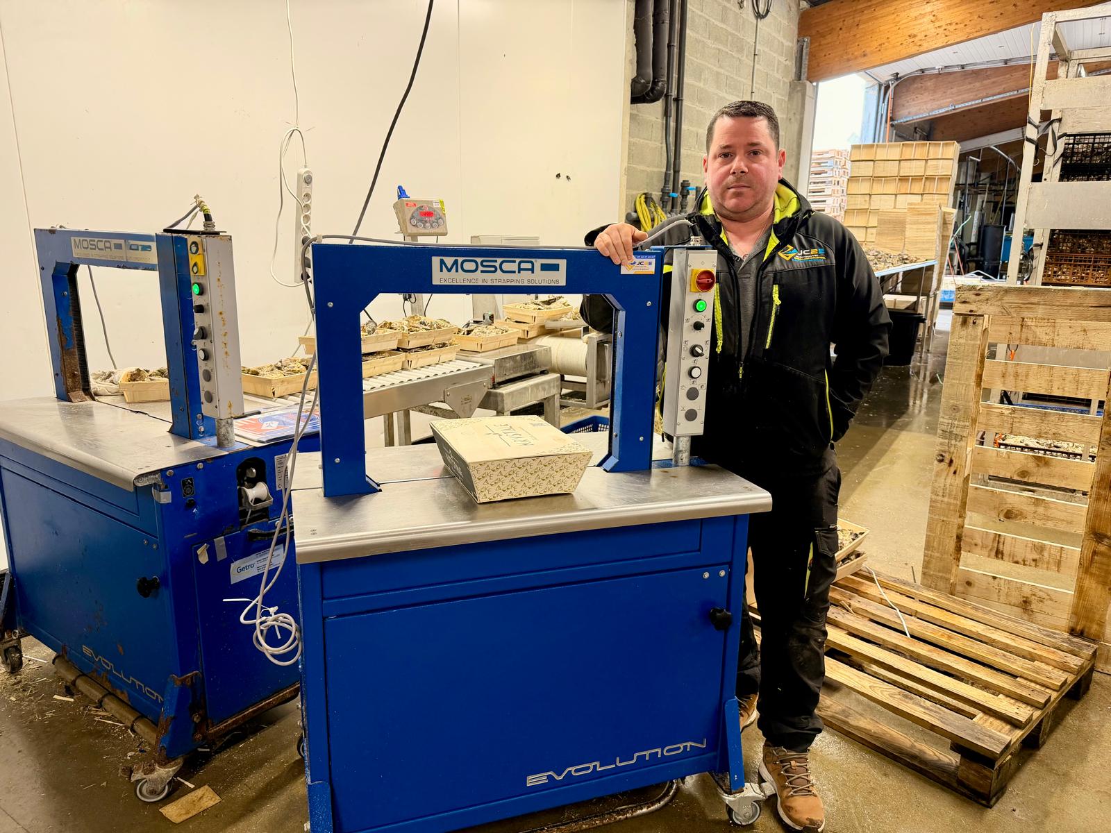 Machine de cerclage Mosca bleue dans un atelier avec operateur et palettes en bois